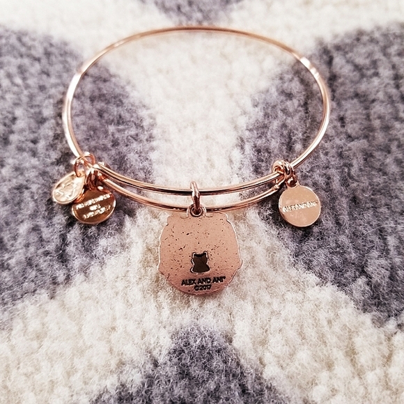 Alex & Ani Love and Luck Rafaelian Rose Gold Tone - Picture 4 of 5